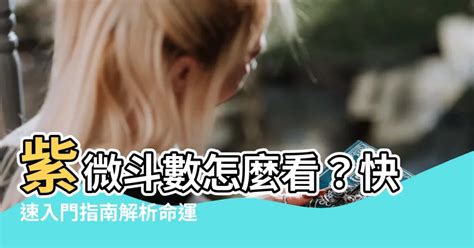 紫微鬥數怎麼看